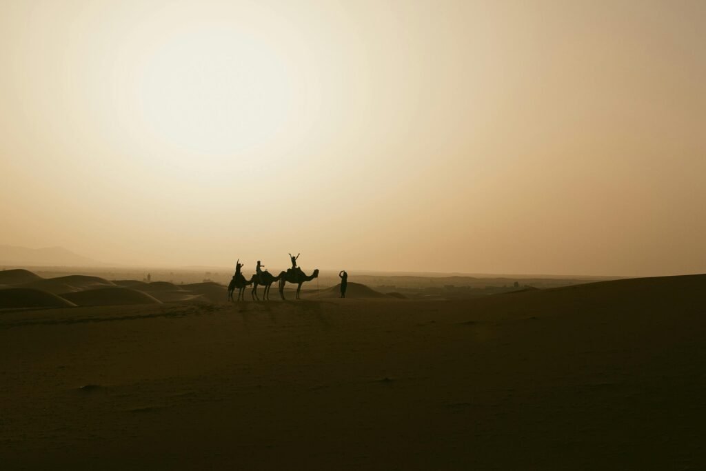 Iconic camel trek at sunset over vast golden dunes in the Morocco Sahara desert, symbolizing an unforgettable adventure.