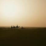 Iconic camel trek at sunset over vast golden dunes in the Morocco Sahara desert, symbolizing an unforgettable adventure.