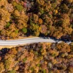 A scenic road winding through a forest with vibrant orange and yellow fall foliage, illustrating one of the best places to travel to in the fall for beautiful scenery.