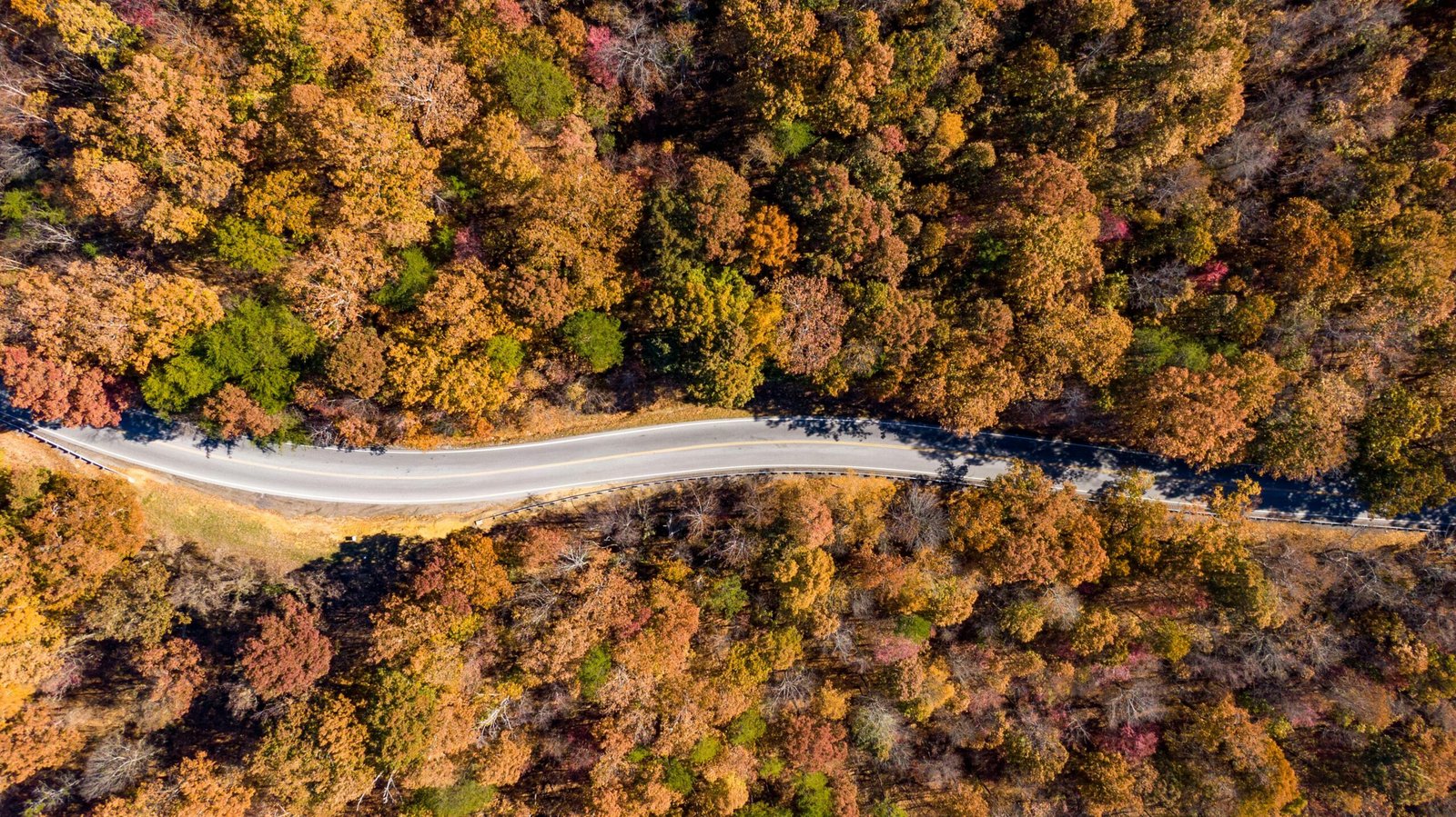 A scenic road winding through a forest with vibrant orange and yellow fall foliage, illustrating one of the best places to travel to in the fall for beautiful scenery.