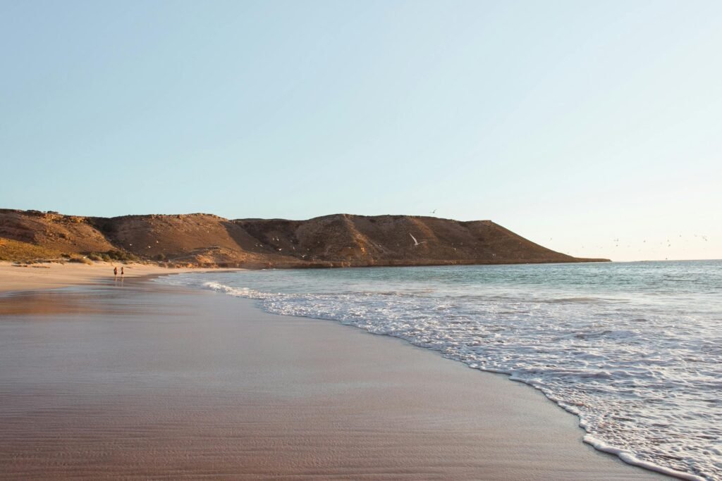 A sunny view of the Atlantic Ocean from behind the grassy sand dunes at one of the best beaches in NJ.