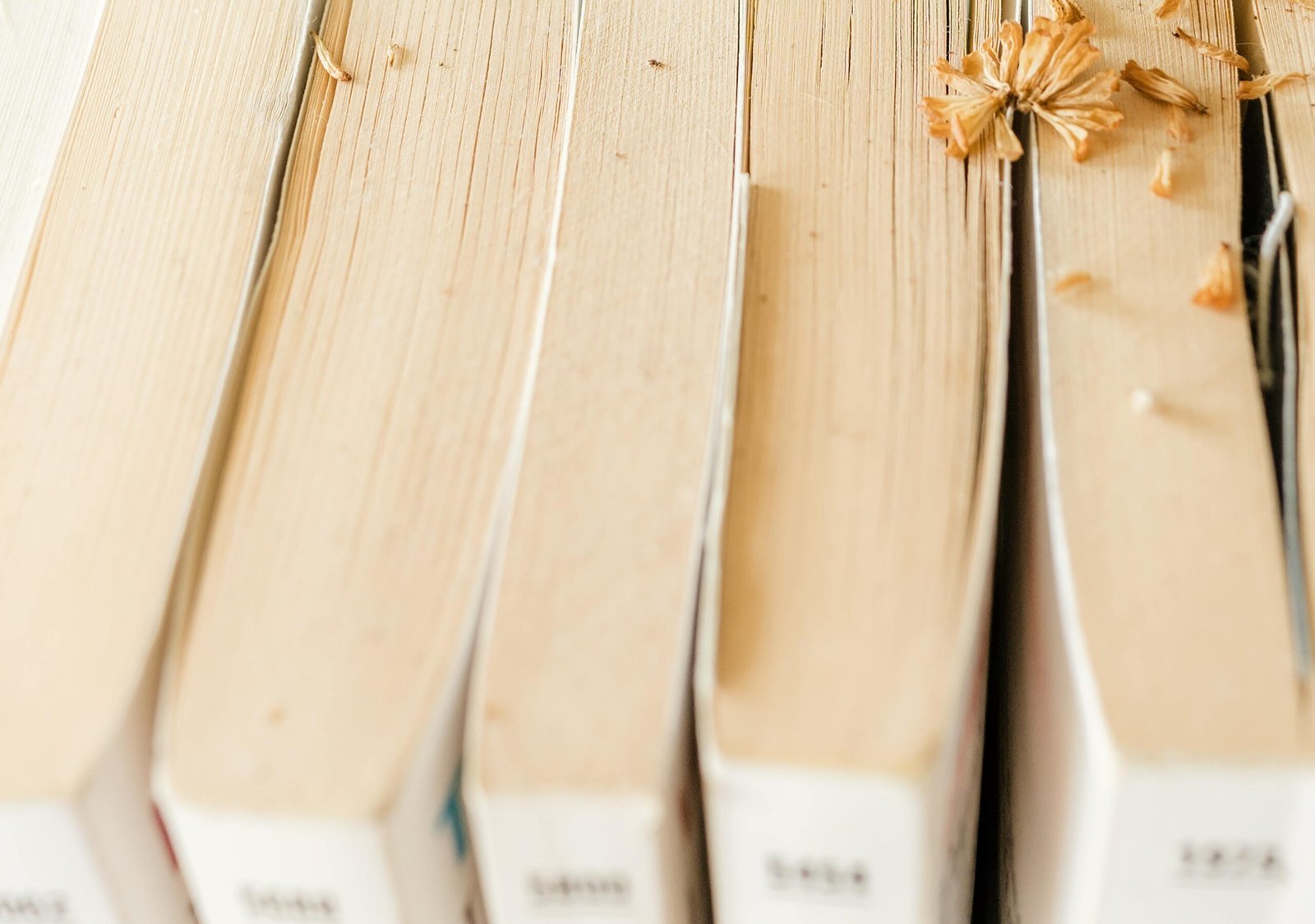 Fellow Travelers Hardcover: The Ultimate Edition for Your Collection