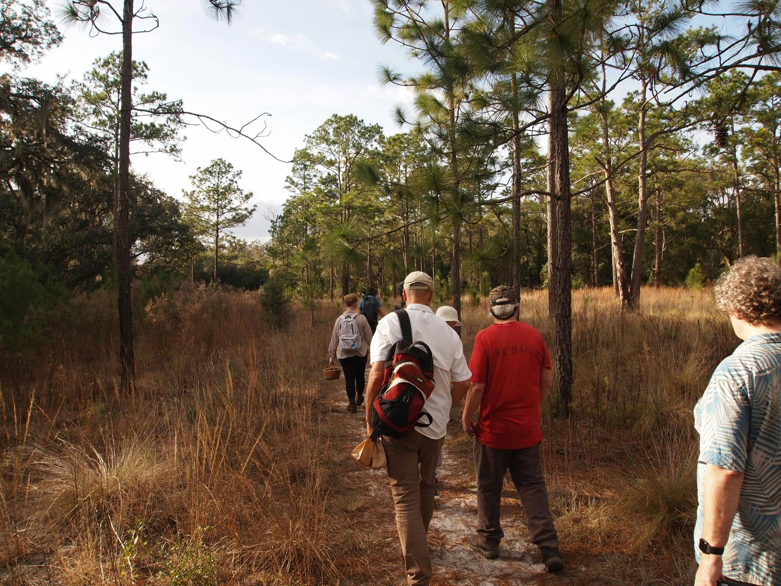 When Do Travel Nurses Come to Florida 2025? Your Comprehensive Guide