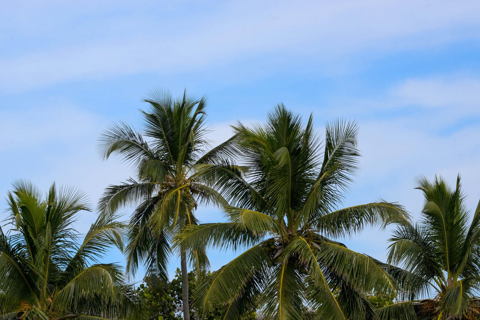 When Do Travel Nurses Come to Florida 2025? Your Guide