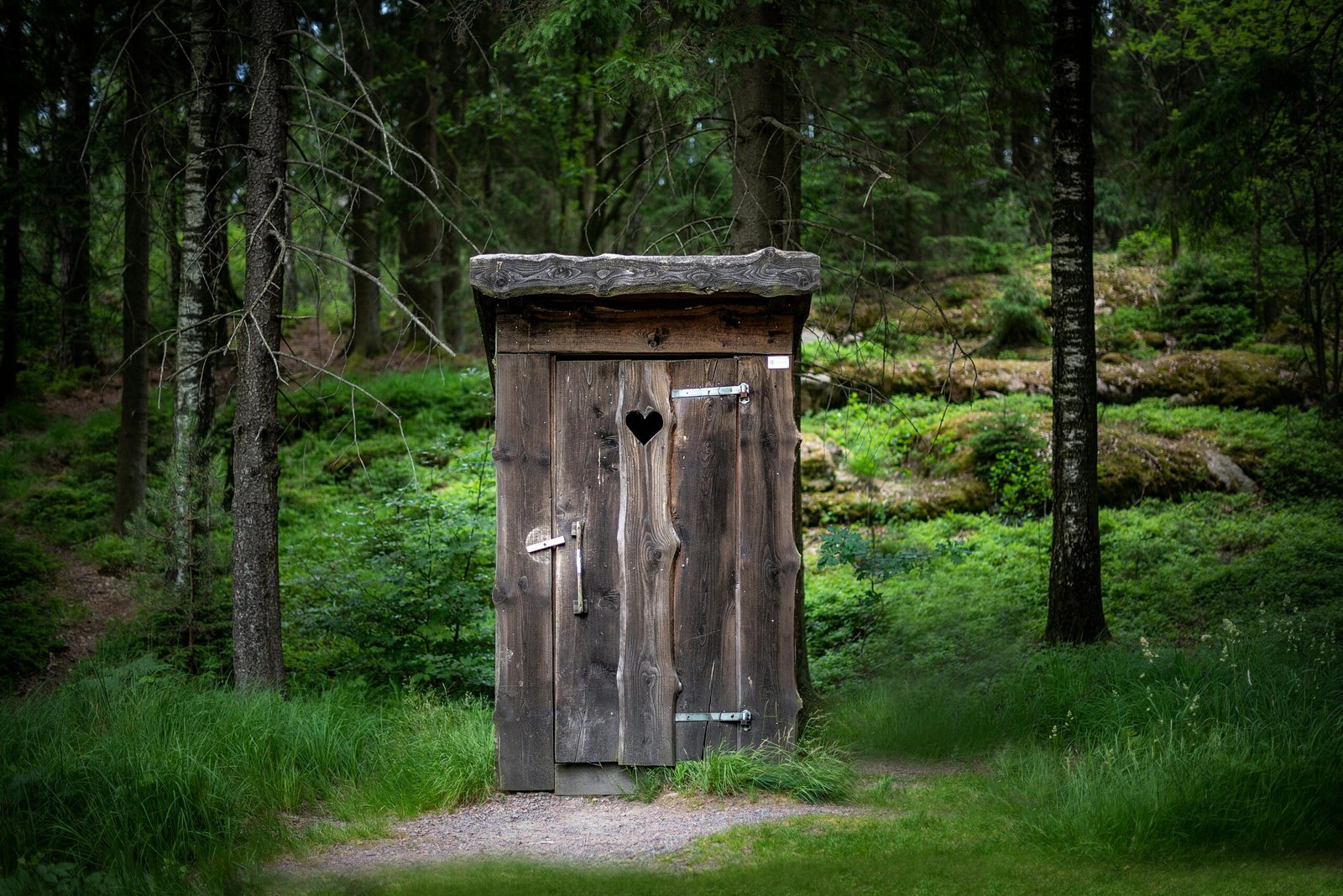 Traveller Toilet Essentials: Your Ultimate Guide to Portable and Eco-Friendly Options