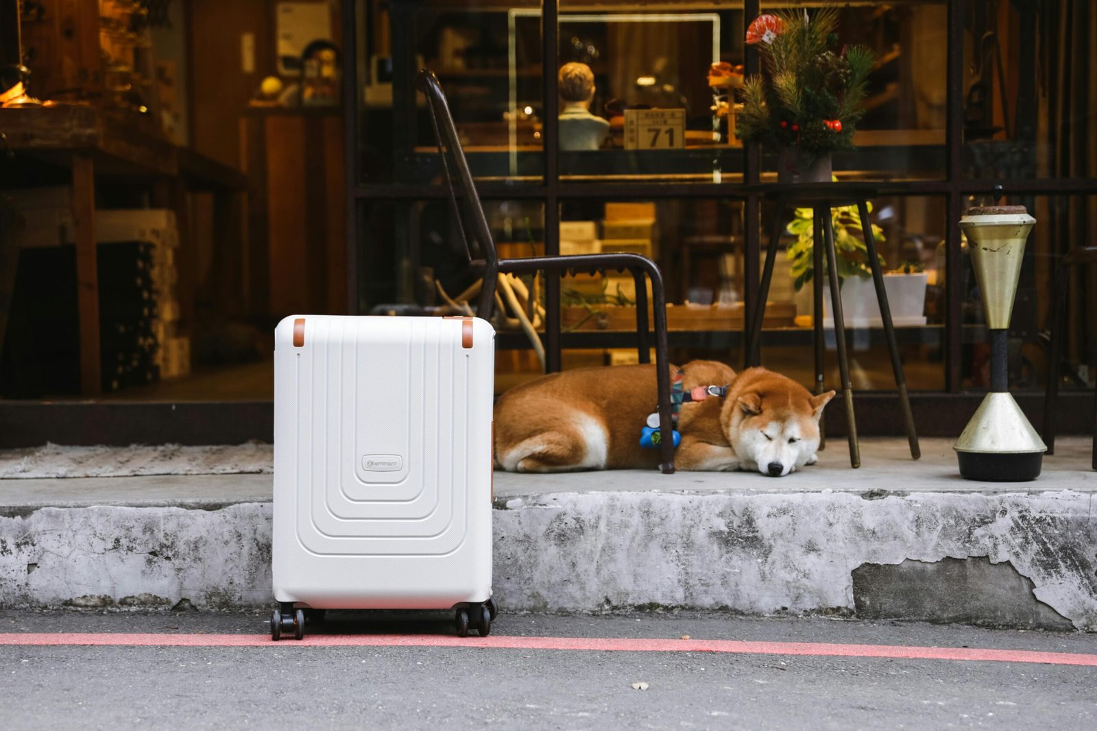 The Ultimate Dog Travel Suitcase Guide: Pack Smart for Your Pooch