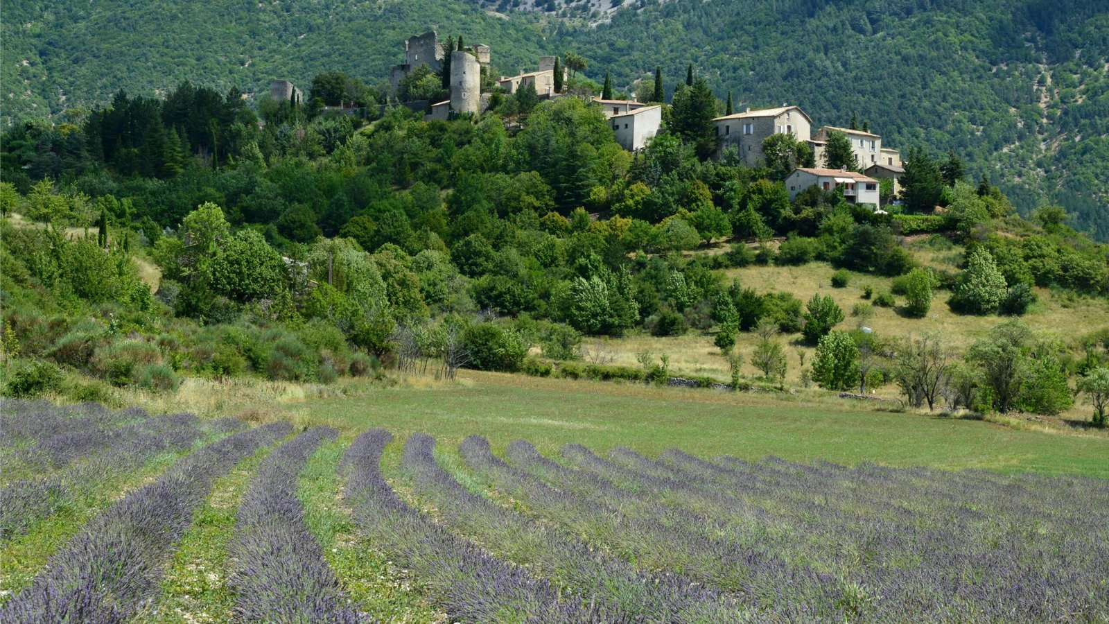 Provence Travel Guide: Your Ultimate Guide for 2025