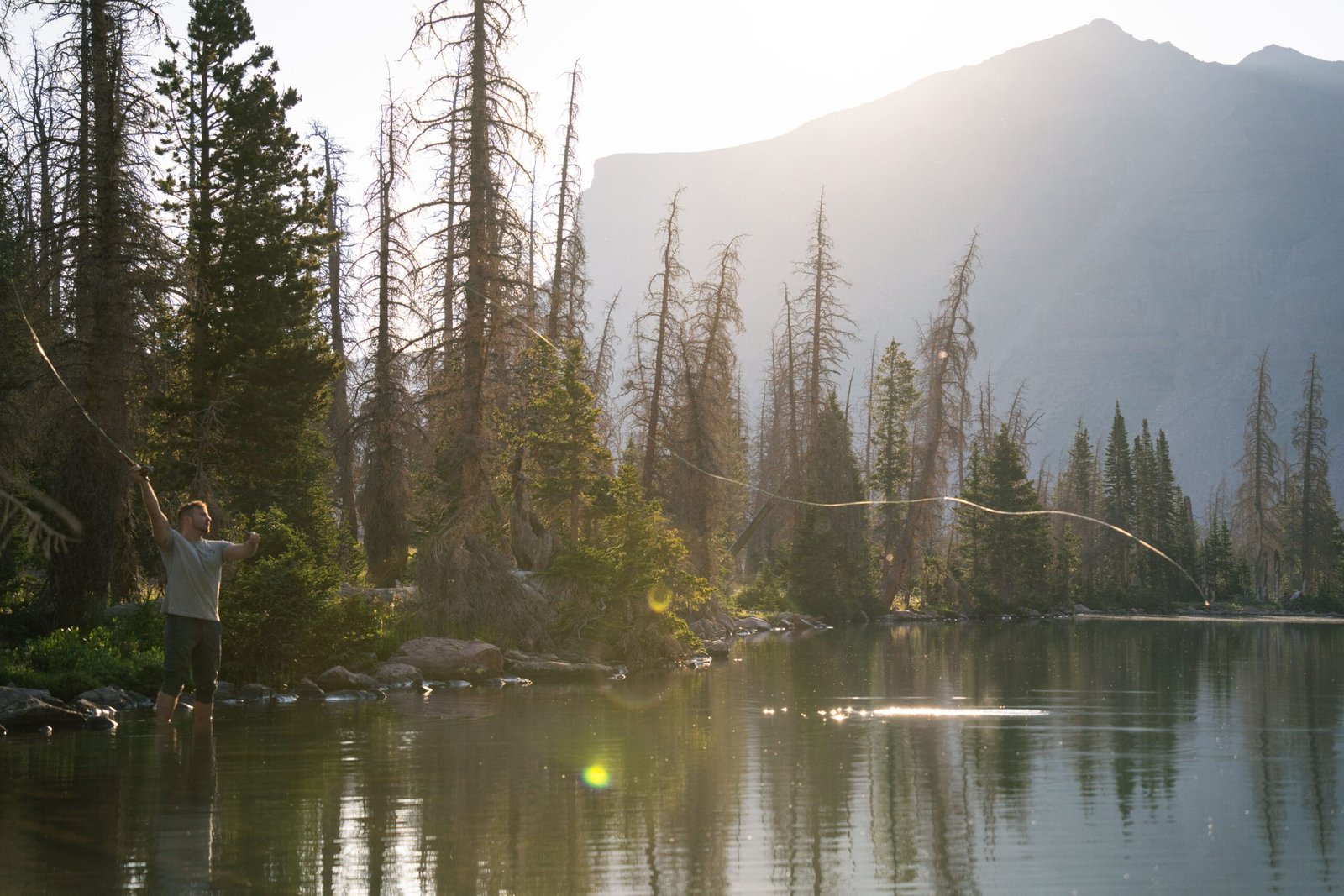 TFO Travel Rod: Your Ultimate Guide to Portable Fly Fishing