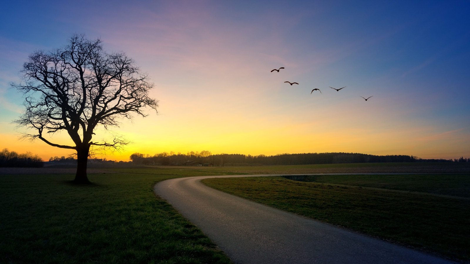 Traveling Mercy: Understanding Its Meaning and Impact
