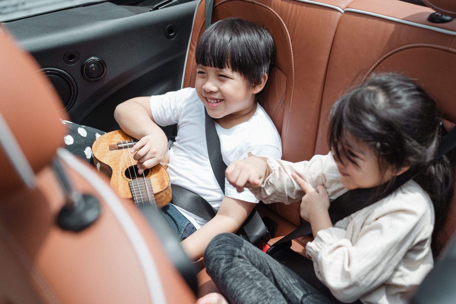 The Ultimate Guide to Choosing a Travel Potty for Car Trips