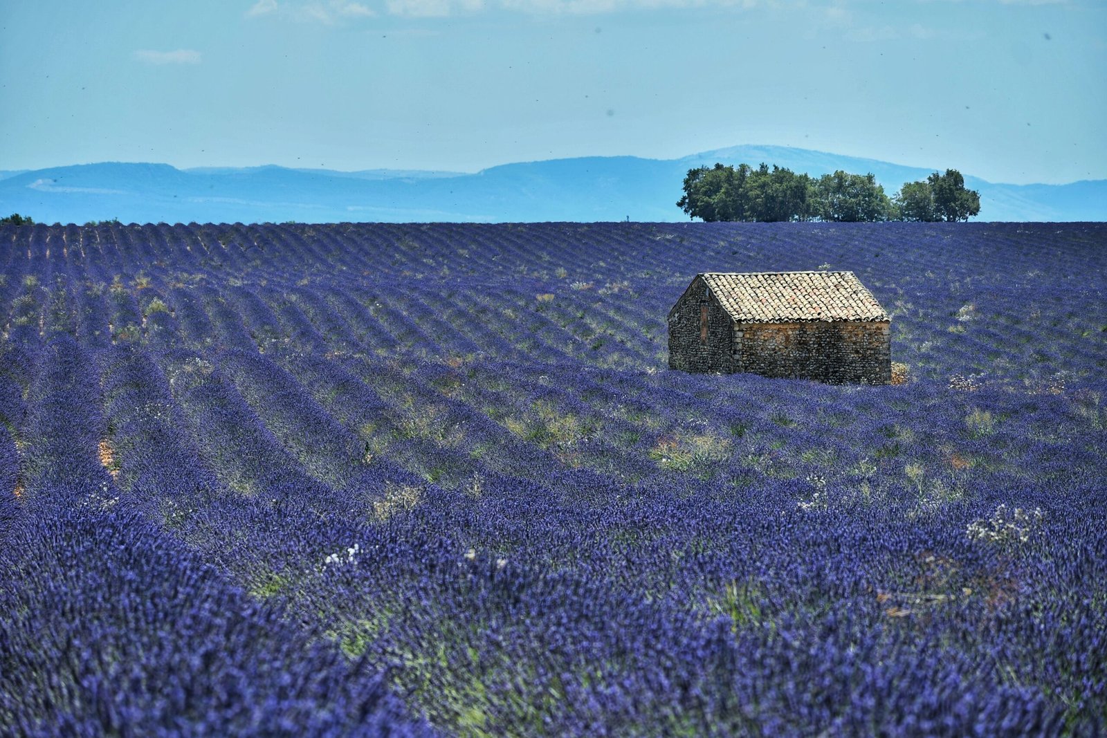 Your Ultimate Guide to Travelling to Provence in 2025