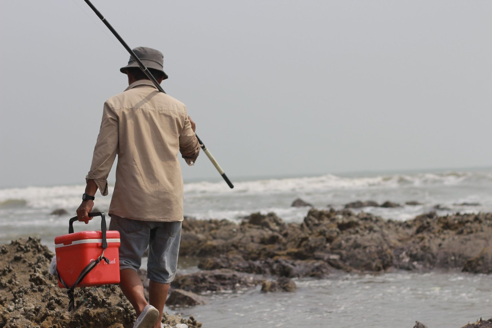 Best Saltwater Travel Rods: Your Ultimate Buying Guide 2025