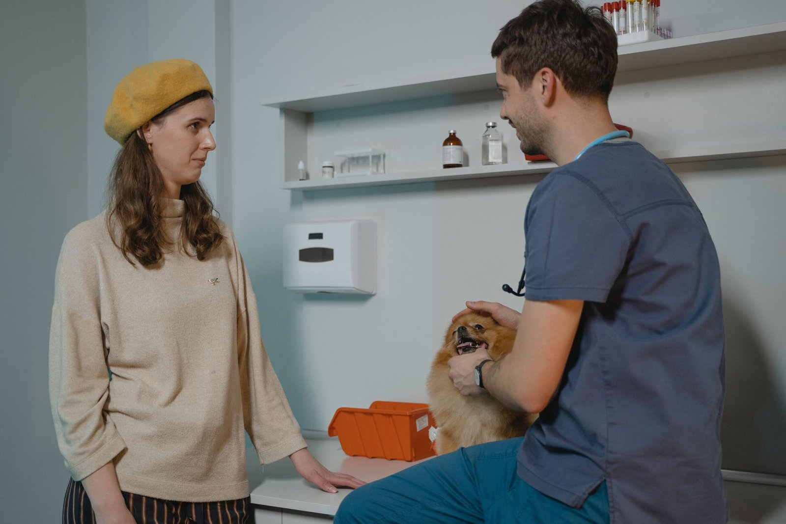 Your Ultimate Guide to Finding a Reliable Travel Veterinarian in 2025