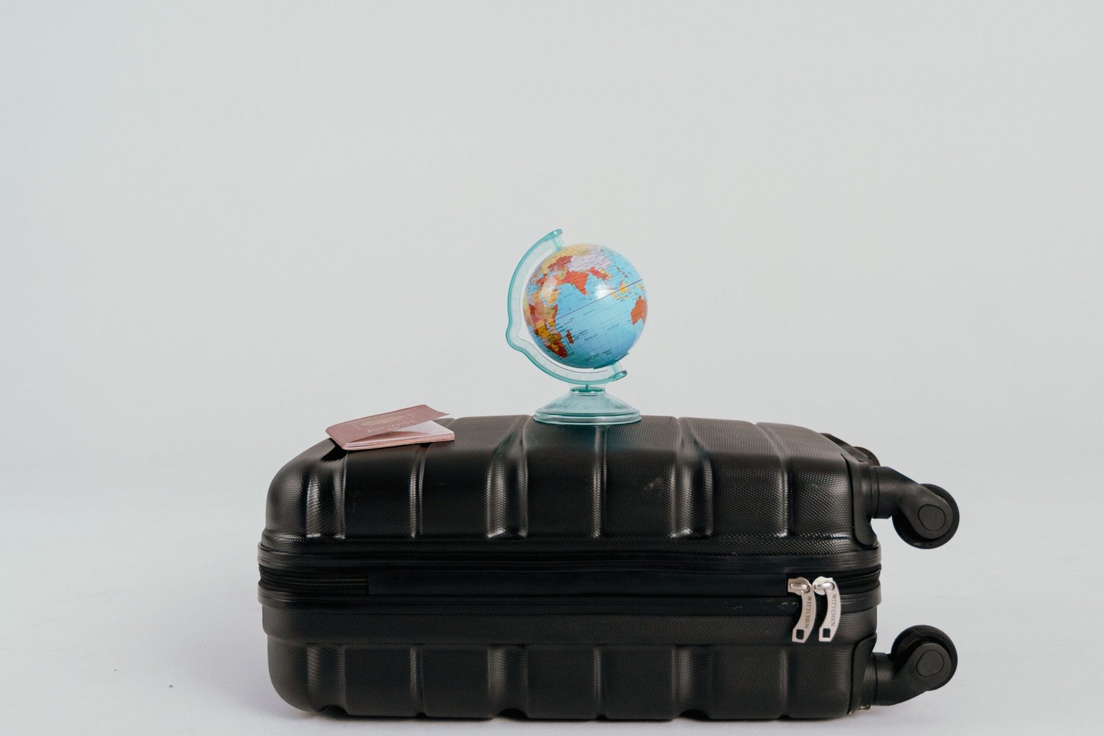 What is a Traveling Vet Tech? Your Guide to a Mobile Veterinary Career