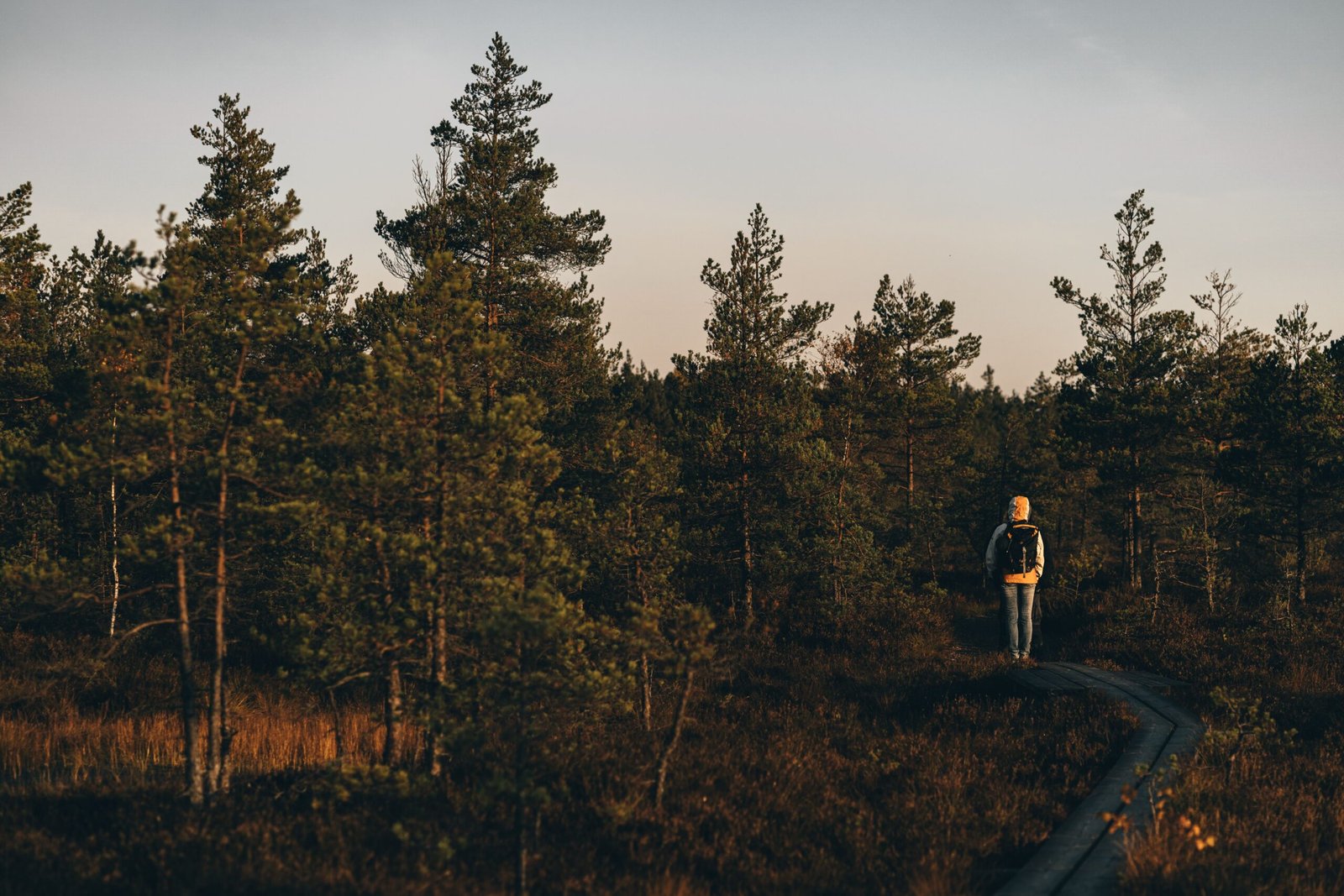 The Road Less Traveled Summary: Exploring Unconventional Paths