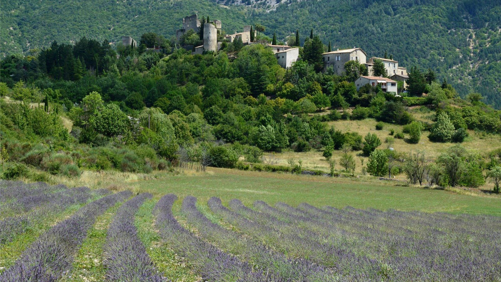 Your Ultimate Provence France Travel Guide for 2025