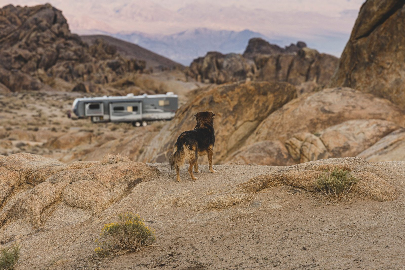 Vast Travel Trailer: Your Ultimate Guide to Buying & Owning