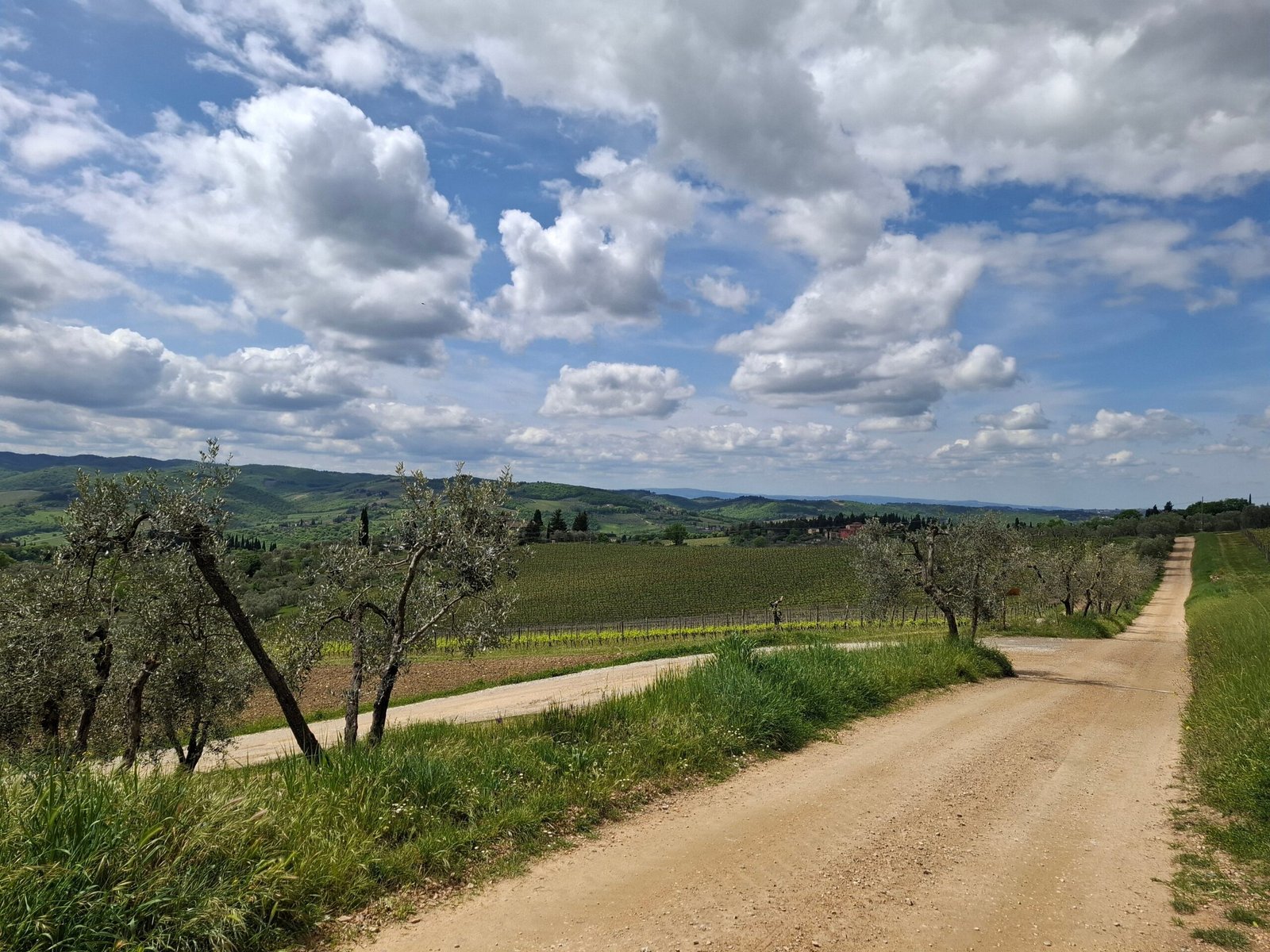 Best Food and Wine Tour for Solo Travelers: Your Ultimate Guide 2025
